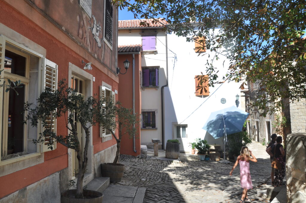 DSC 0264