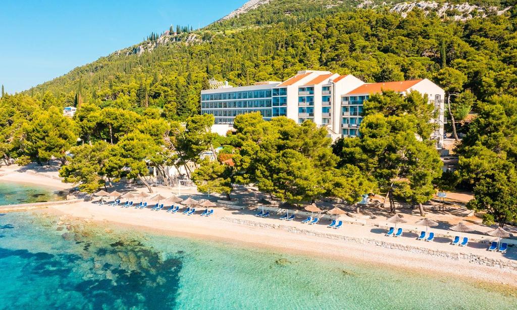 729433262